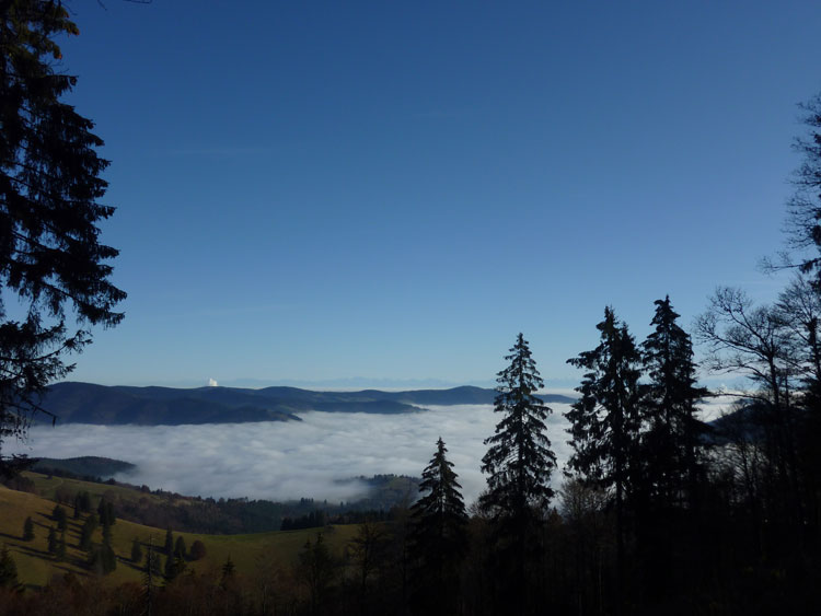 Belchen im Schwarzwald Aussicht ins Nebel gef&uuml;llte Wiesental