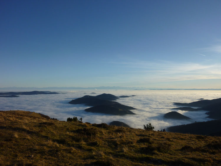 Aussicht vom Belchen im Schwarzwald auf das Nebelmeer den T&auml;lern, eine Berginsel und die Alpen