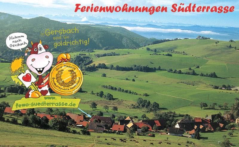 Schwarzwald Ferienwohnungen S&uuml;dterrasse